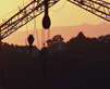 crane