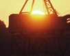 crane