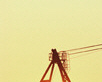 crane