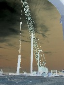 [101]